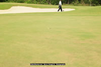 DSC_9085.jpg (70,303 bytes)