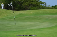 DSC_1041.jpg (92,994 bytes)