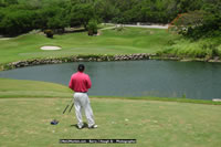 DSC_1186.jpg (113,085 bytes)