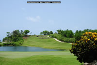 DSC_1302.jpg (75,458 bytes)