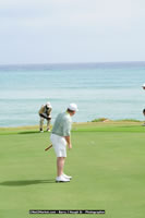 DSC_9622.jpg (46,116 bytes)