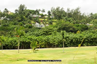 DSC_0443.jpg (167,283 bytes)